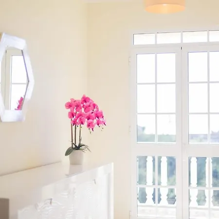 Semesterbostad Casa Terra Da Vinha Canhas