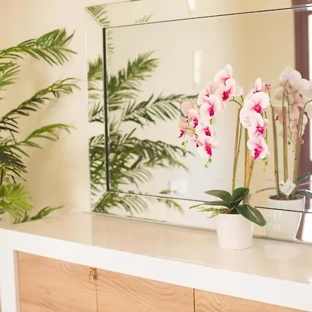 Casa Terra Da Vinha * Canhas